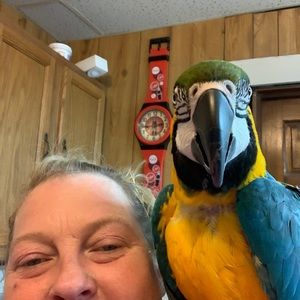 Meet your Posher, Kathi